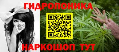 гашик Янаул