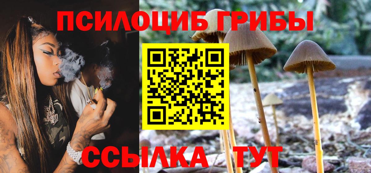 Галлюциногенные грибы MAGIC MUSHROOMS  Вход с VPN  Конаково 